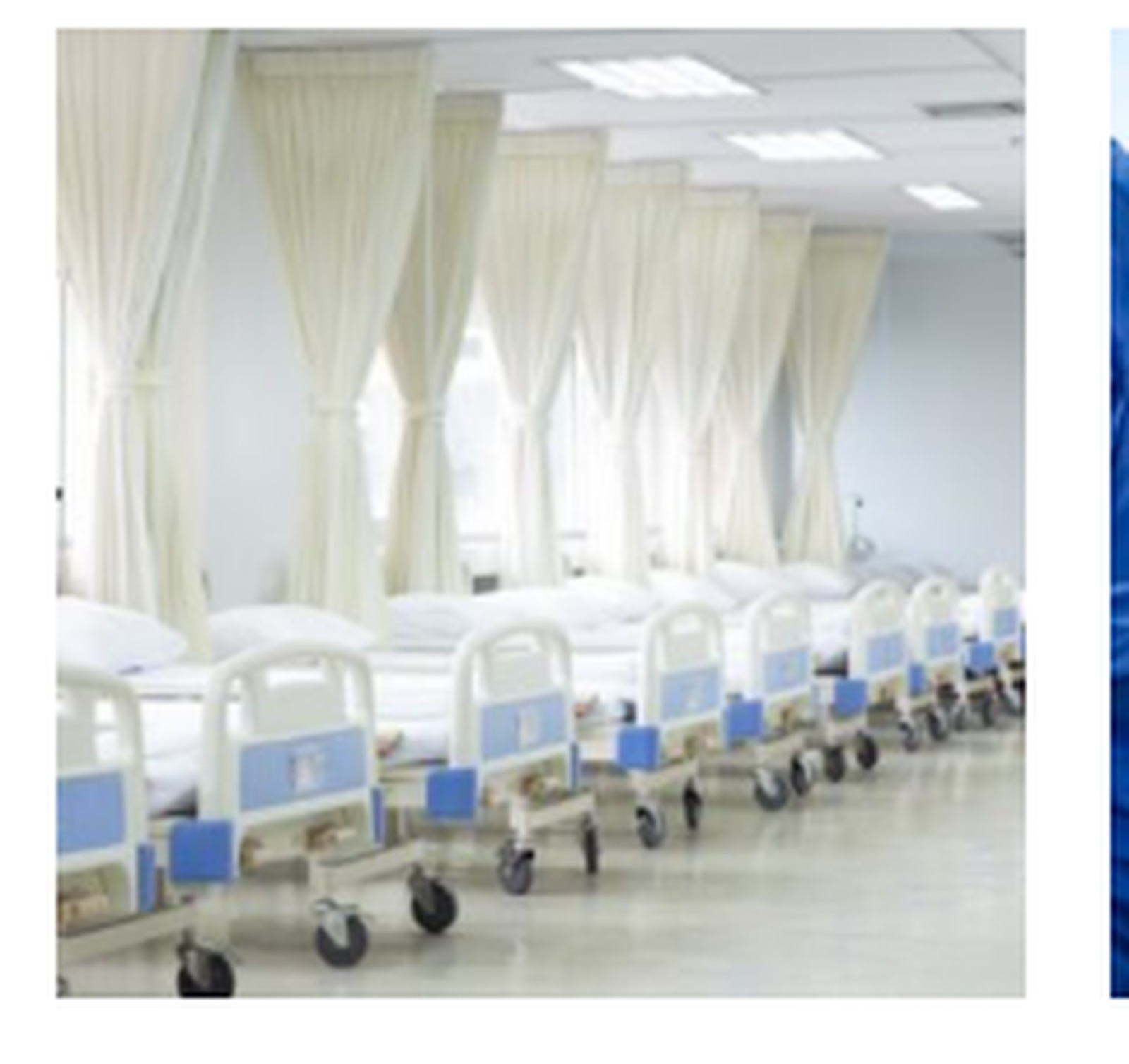 Planta hospitalaria
